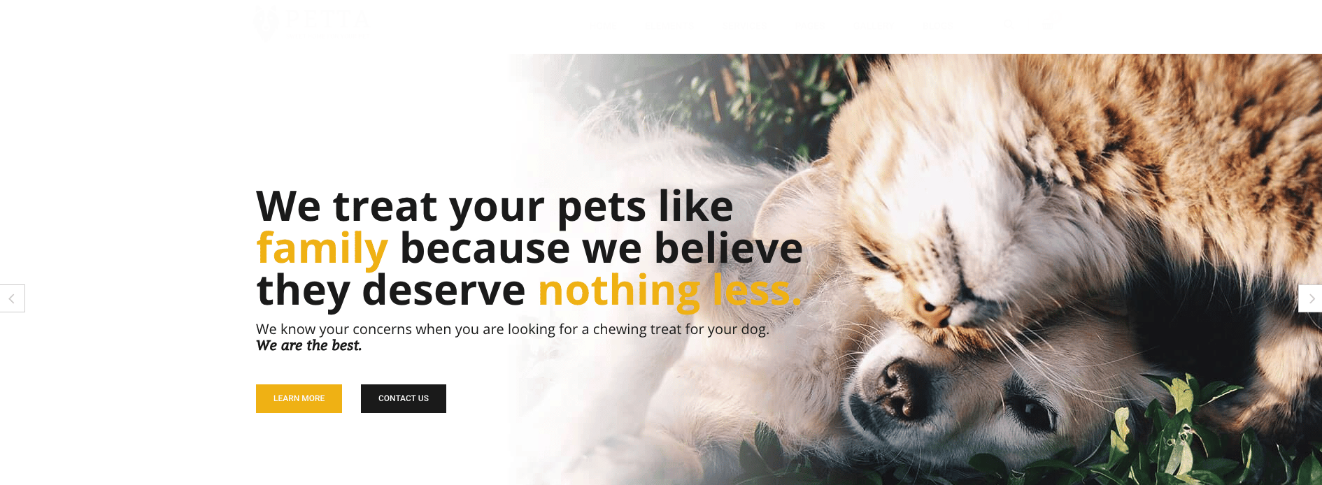 Petta – Pet Care WordPress Theme Overview