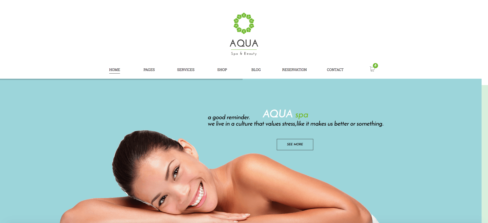 aqua-spa-and-beauty-wordpress-theme
