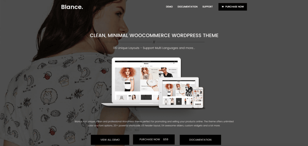 Best SEO Friendly Responsive Premium WordPress Themes