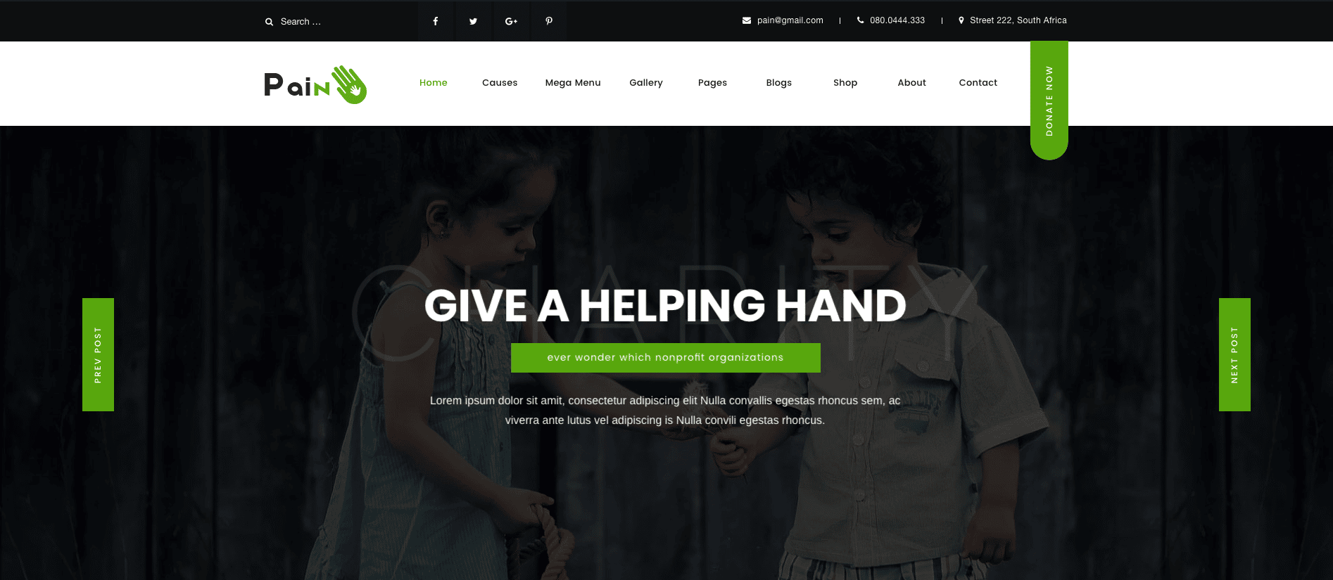 Pain – Charity & Fundraise Non-profit WordPress Theme