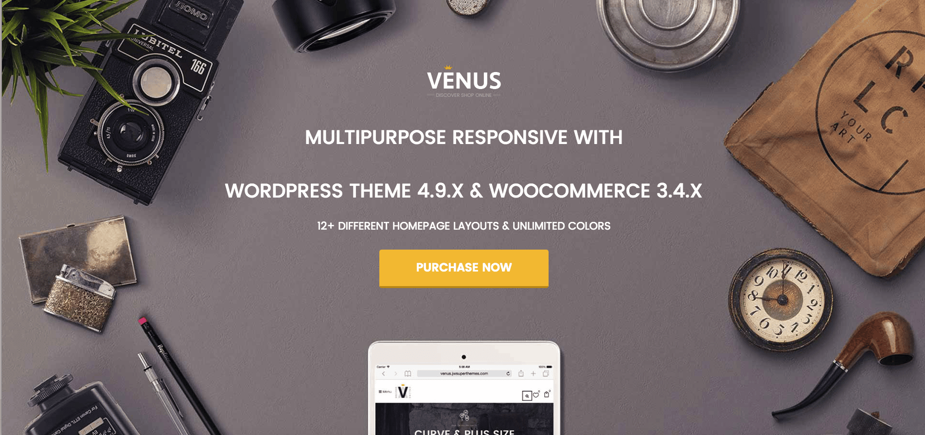 Venus – Responsive Multipurpose WordPress Theme