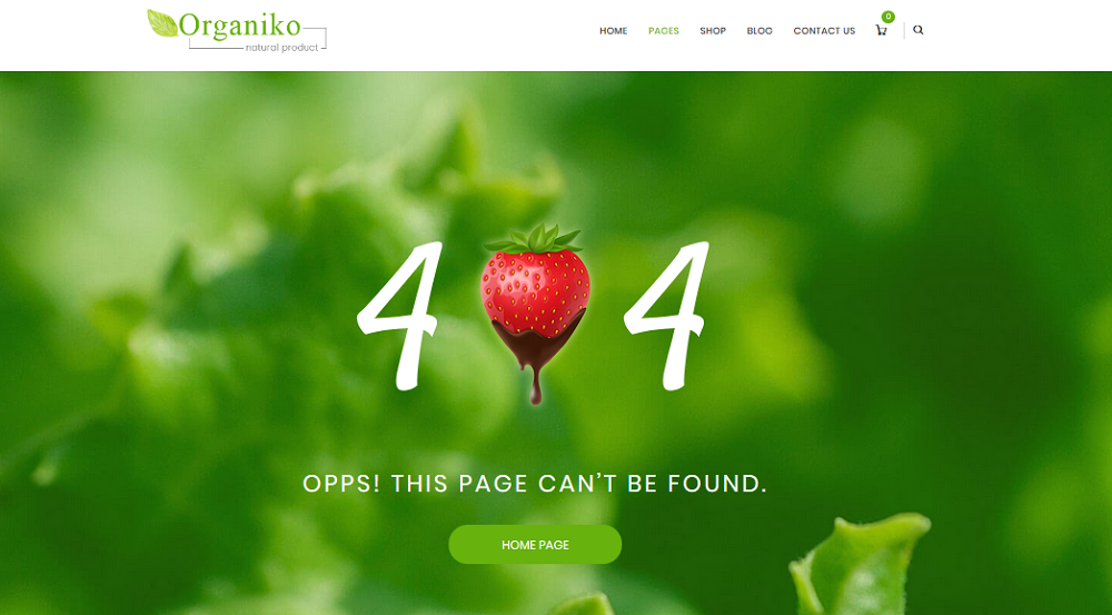 404 Page