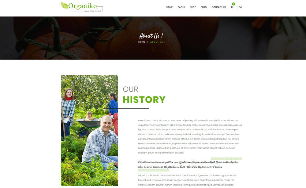 About Us Page