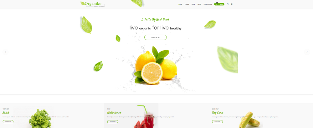 Organiko Homepage 1