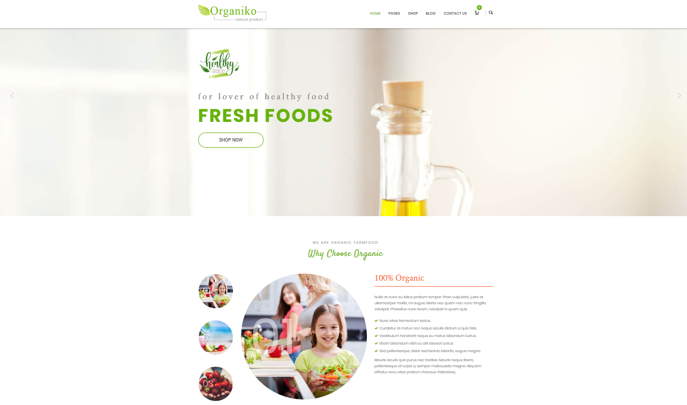 Organiko Homepage 4