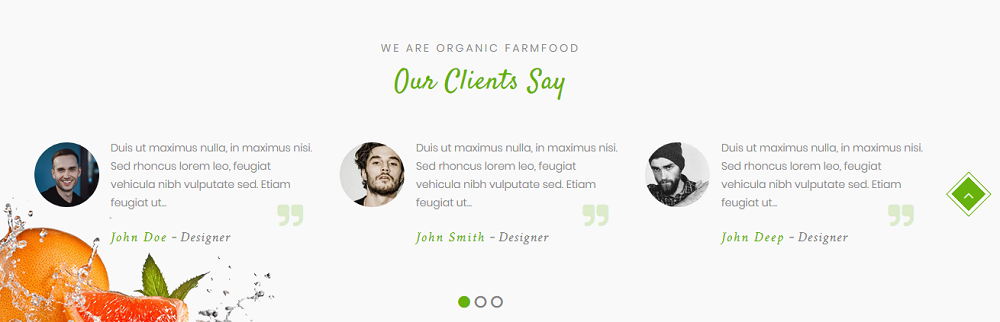 Testimonial Section